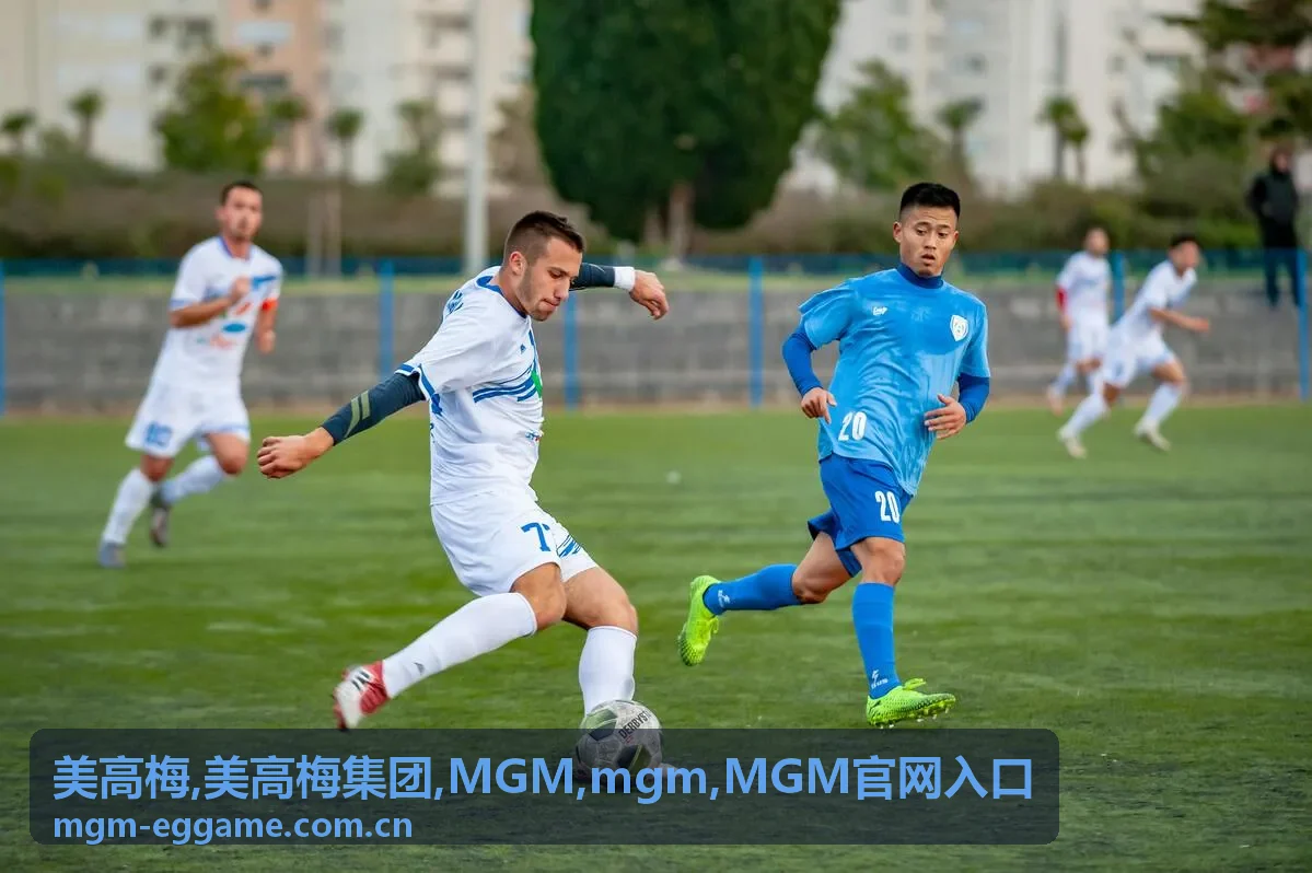 美高梅集团品牌信息整理